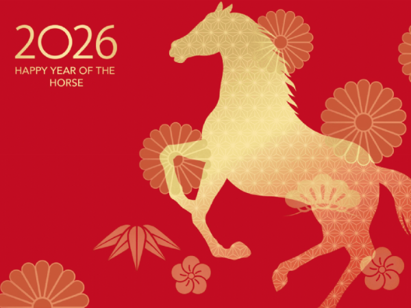 115年度春節休診公告